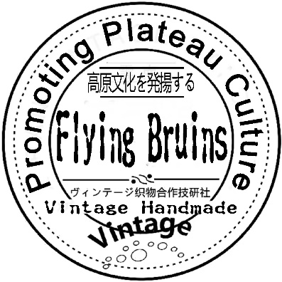 Flying Bruins vintage.png